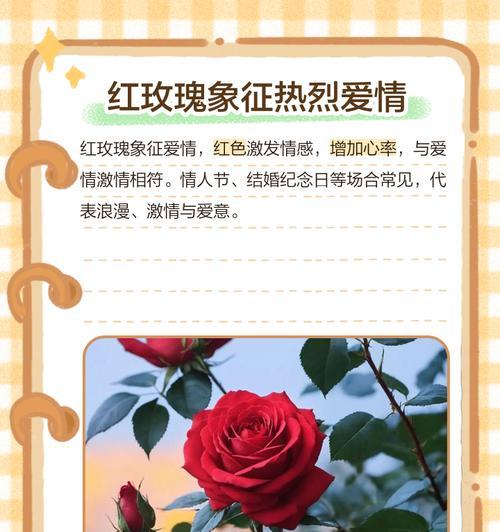 一枝玫瑰的花语是什么？如何用玫瑰花语表达爱意？