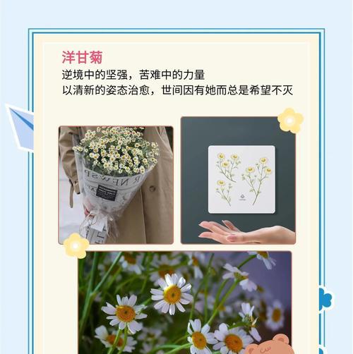 这些花语背后隐藏着什么秘密？