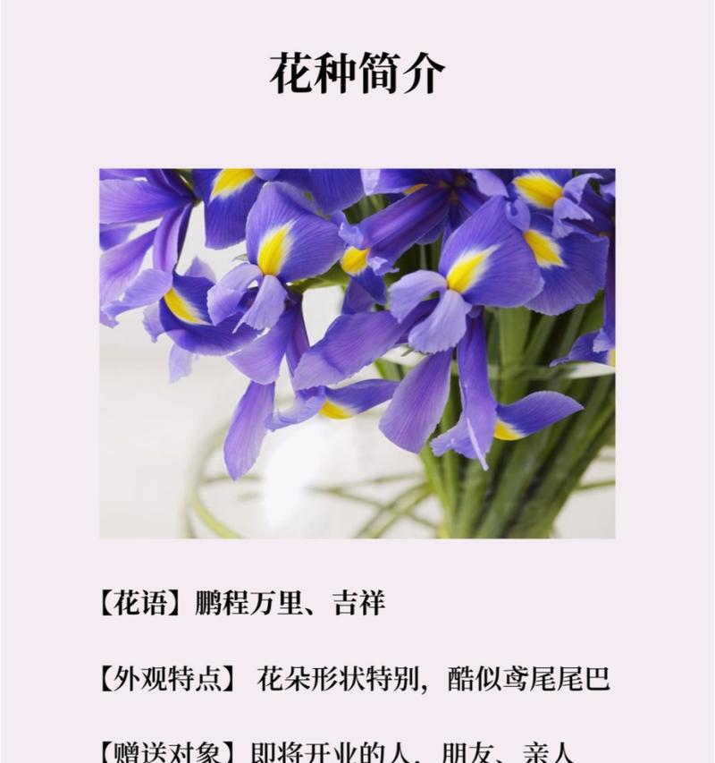 你知道每种花的花语分别是什么吗？
