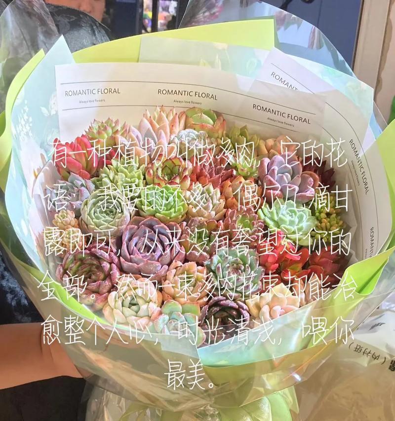 肉莲多肉植物的花语有何特别之处？