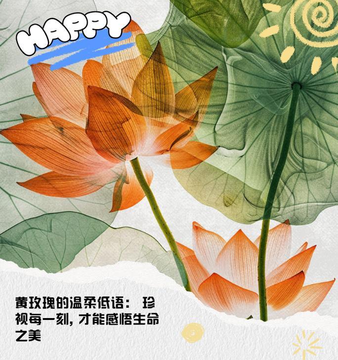 哪种花语代表不被珍惜？它背后隐藏了怎样的情感？