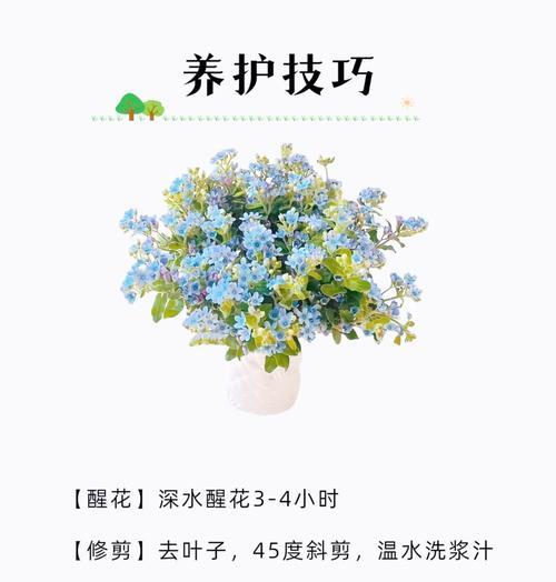 哪种花语代表不被珍惜？它背后隐藏了怎样的情感？
