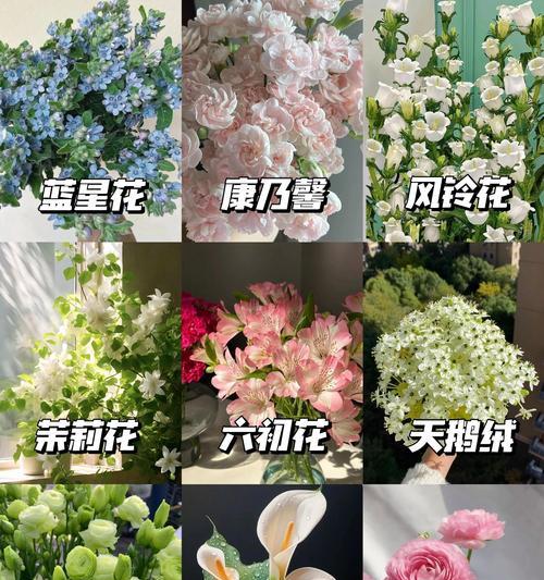 哪种花语代表不被珍惜？它背后隐藏了怎样的情感？