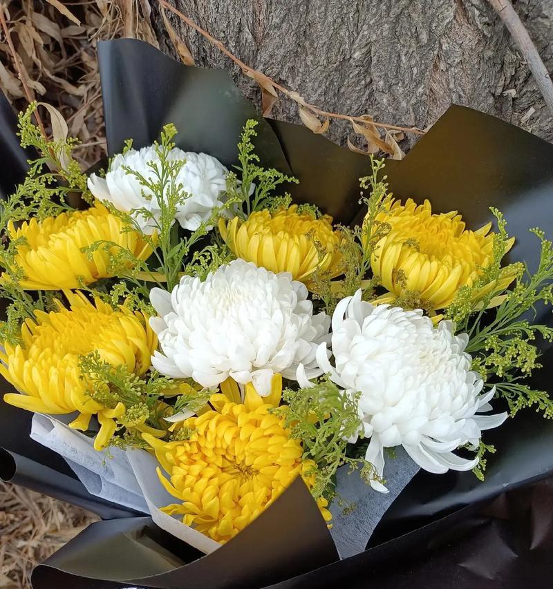 思念对方时选择哪种花？花语如何表达思念之情？