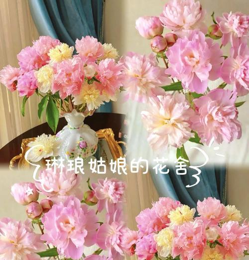 哪种花的花语适合形容害羞小女生？