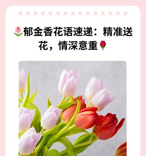 几种郁金香的花语分别是什么？