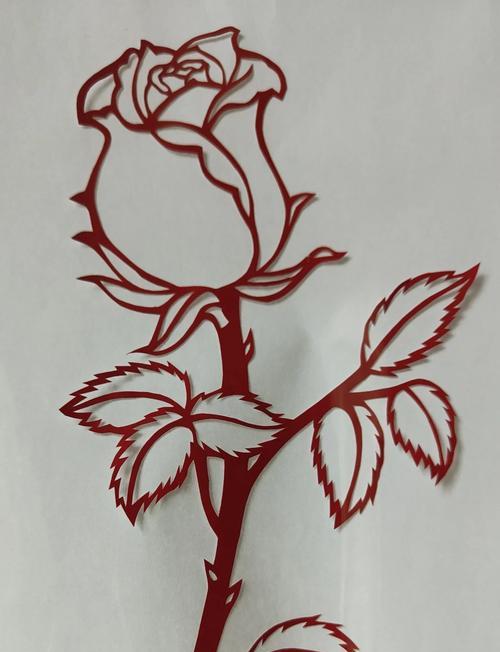 凋零白玫瑰的花语寓意何在？