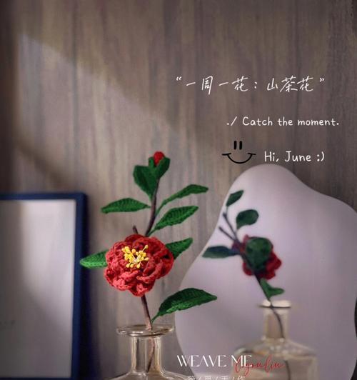 山茶花花束代表什么？花语背后有何深意？