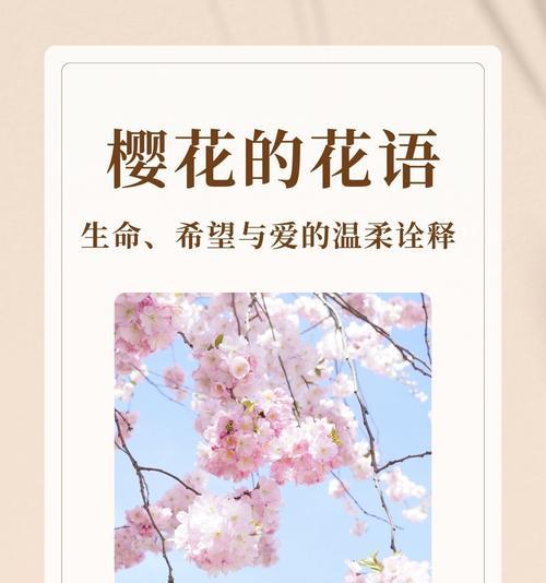 樱花的花语在光遇游戏中代表什么？樱花在游戏中的象征意义是什么？