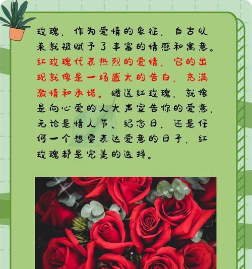 送给男生的玫瑰花语是什么？男生适合什么花语的玫瑰？