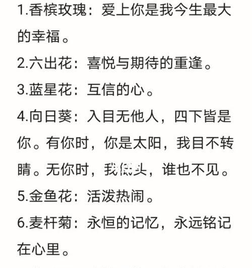 灰色香槟玫瑰代表什么？花语有哪些含义？