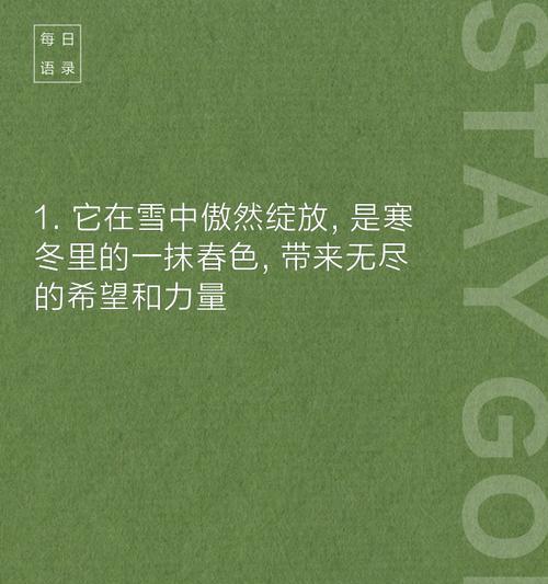 梅花的花语是什么？它代表了什么意义？