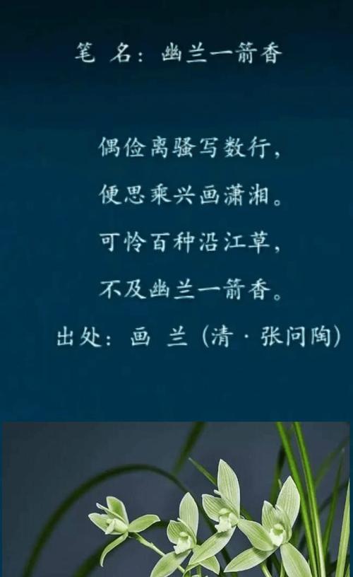 最美兰花的花语是什么意思？陌上花语是什么动物的成语？
