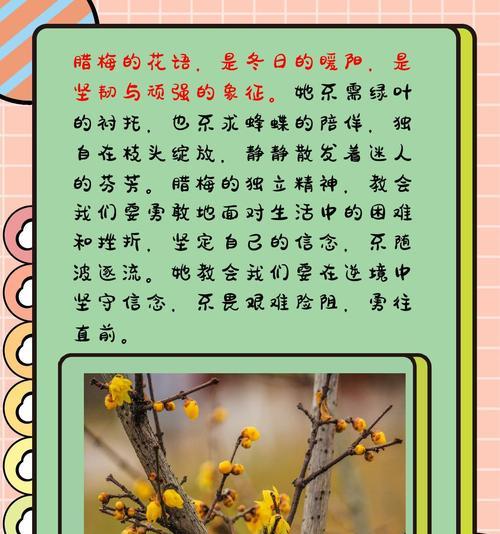 热烈自由的开放花语有何含义？代表什么？