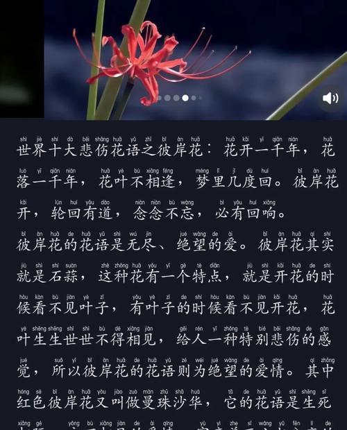 曼珠沙华的花语代表什么？
