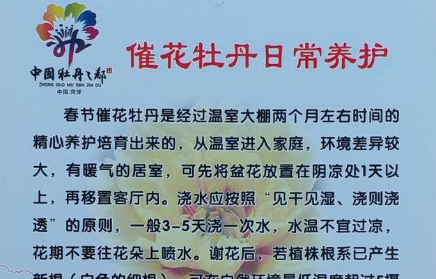 牡丹花如何多长枝叶？怎样养护才能促进枝叶生长？
