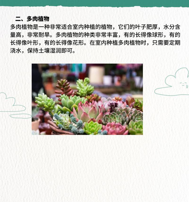 大型植物仙人掌的养护技巧是什么？