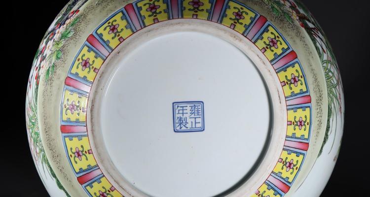 牡丹花丹丁鹤品种的特点是什么？