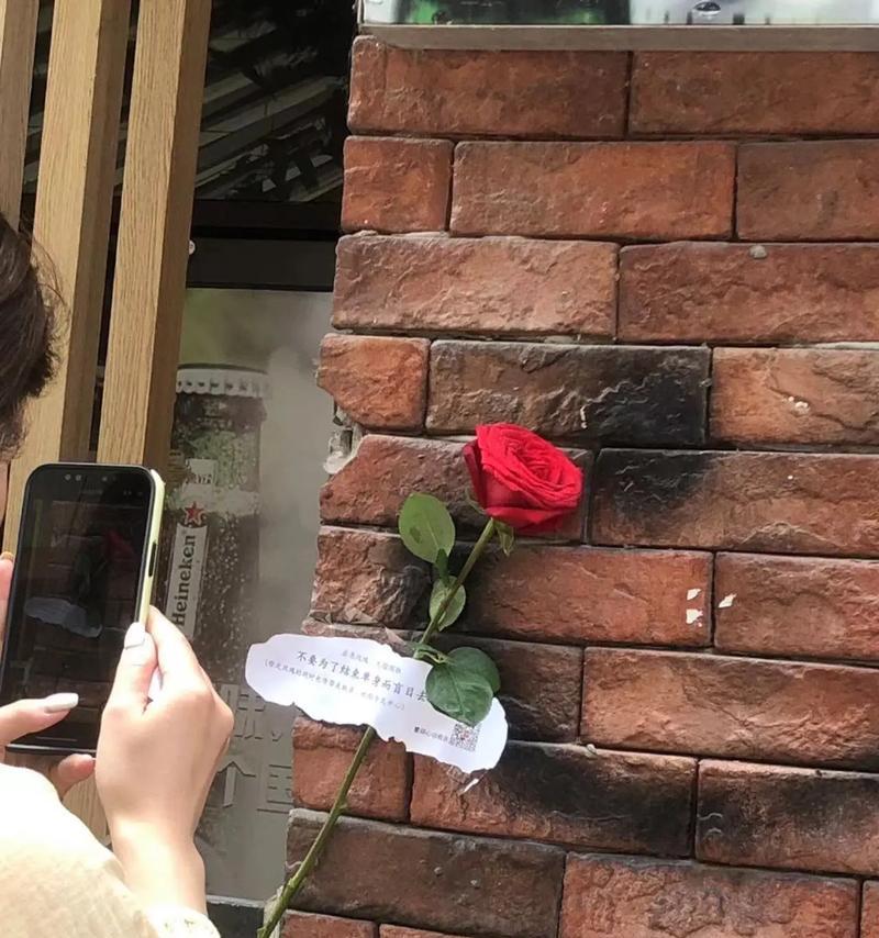 玫瑰花枯萎后会吸引哪些生物？如何预防？