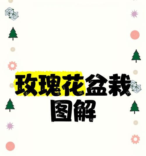 如何种植玫瑰花才能使其茂盛？