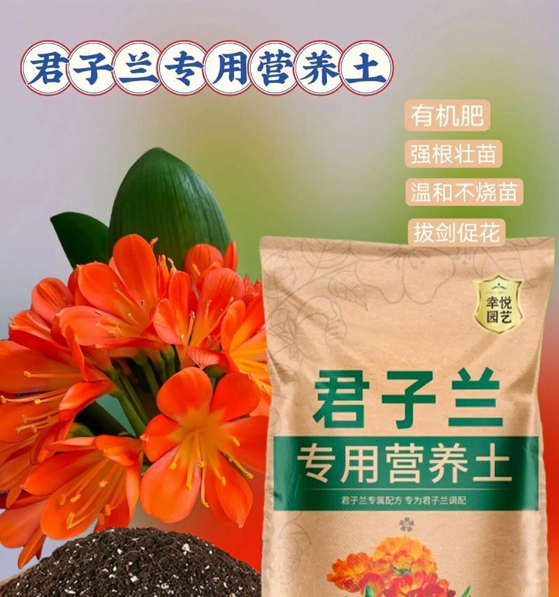 君子兰需要什么样的营养土？