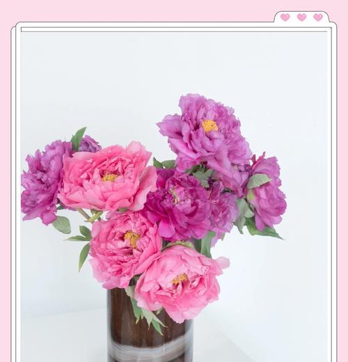 牡丹花不开花的处理方法是什么？