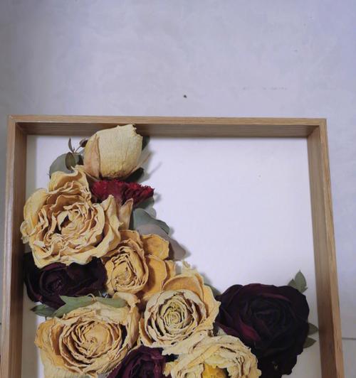 百合君子兰干花的养护管理技巧有哪些？如何延长干花的观赏期？