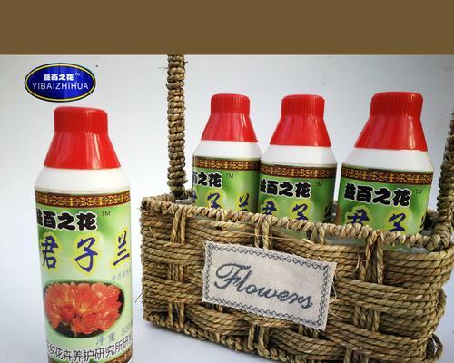 君子兰肥料炒菜有效吗？