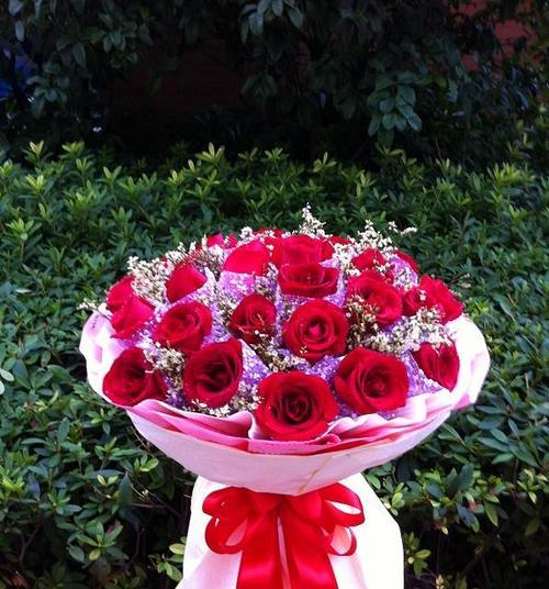 冬天如何养护红色玫瑰花？有哪些特别的护理措施？