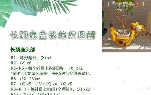 迷你仙人掌盆栽挂件的正确养护方法是什么？