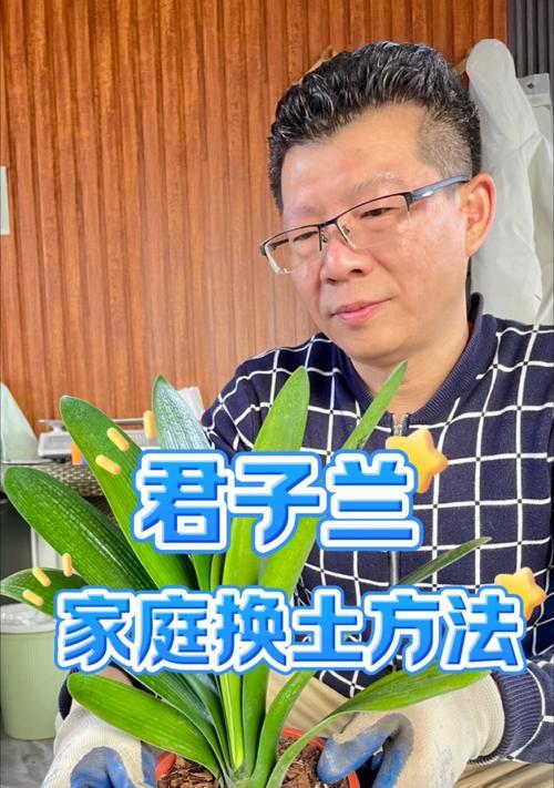 沙石土养君子兰怎么养好？使用沙石土有哪些优势和注意事项？