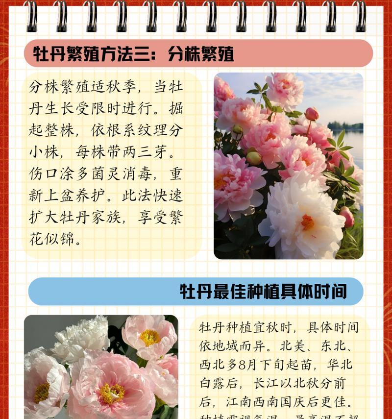 牡丹花平茬种植的禁忌和原因是什么？