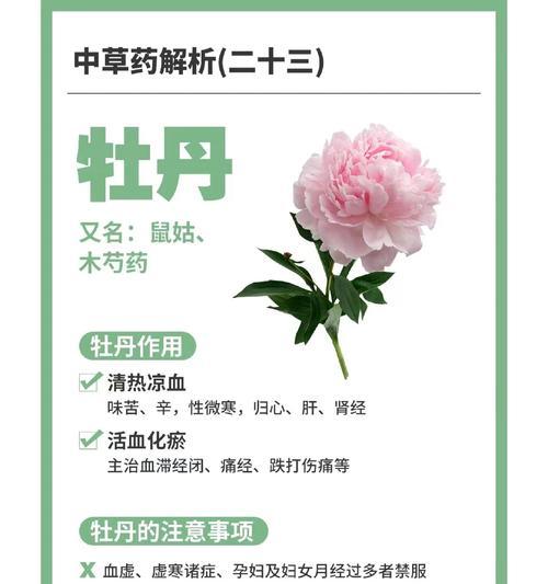 牡丹花平茬种植的禁忌和原因是什么？