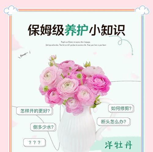 水泥地上牡丹花的养护技巧是什么？