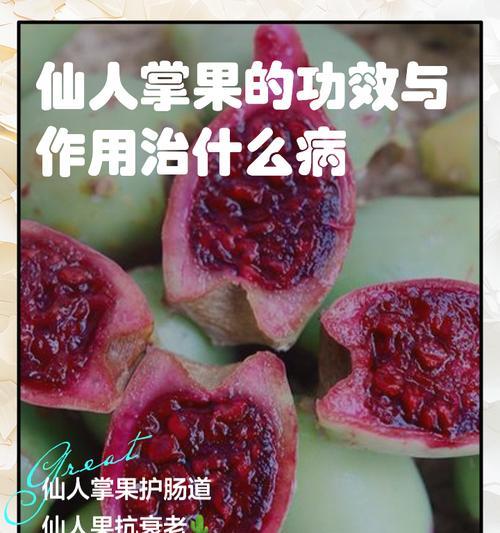 仙人掌果实如何正确种植？