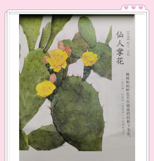大片开花仙人掌的养护技巧是什么？