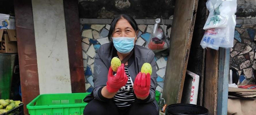 荒地种植仙人掌的正确方法是什么？需要注意什么？