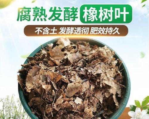 仙人掌盆栽土壤配比的正确方法是什么？