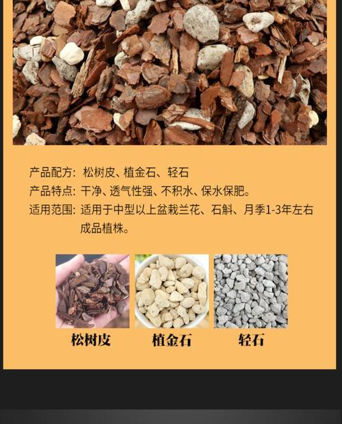 君子兰植料叶子干枯的解决方法是什么？