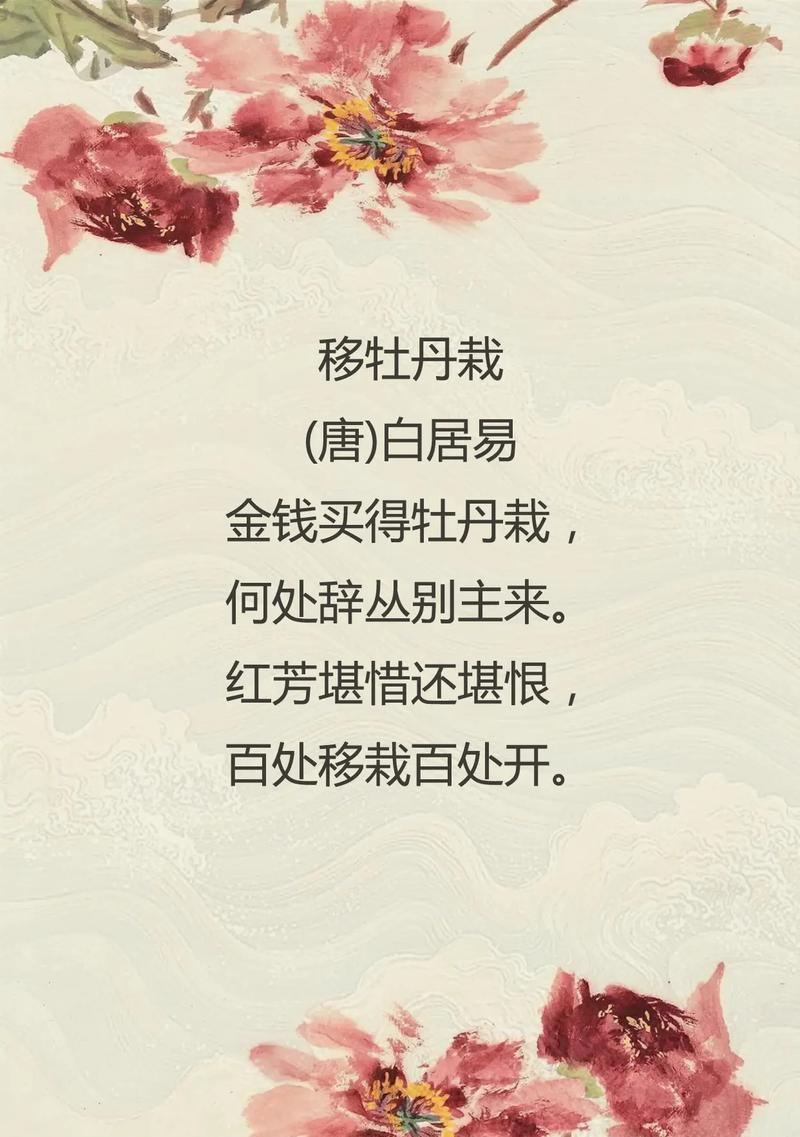 牡丹花与穷秀才植物有何不同？