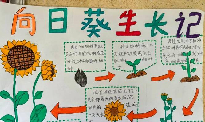 立体仙人掌植物名片的制作步骤是什么？