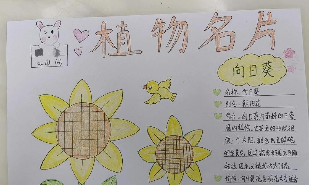 立体仙人掌植物名片的制作步骤是什么？