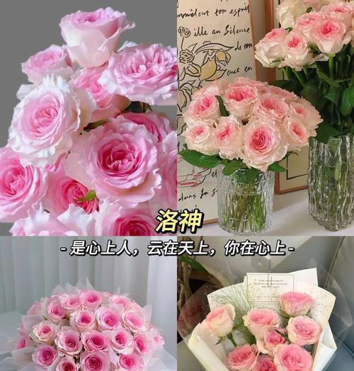 哪种玫瑰花既昂贵又外观不佳？其特点是什么？