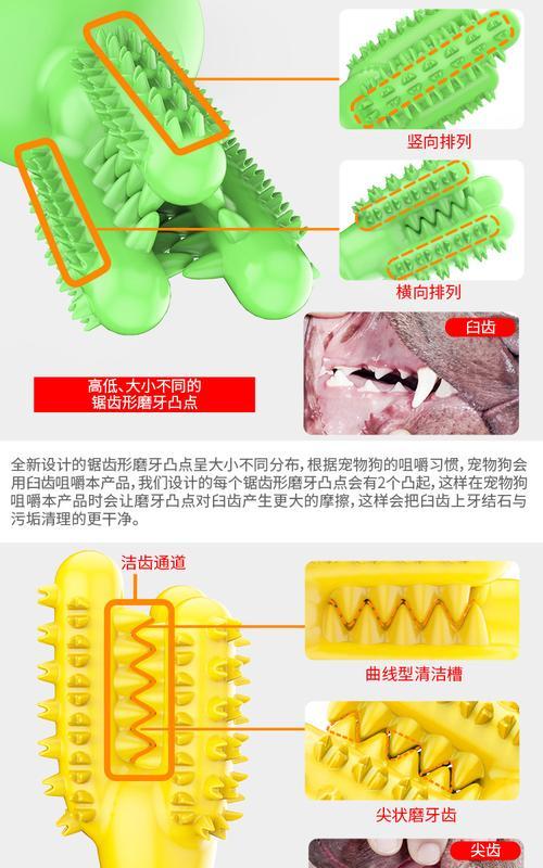 如何正确养护仙人掌以适应狗狗环境？
