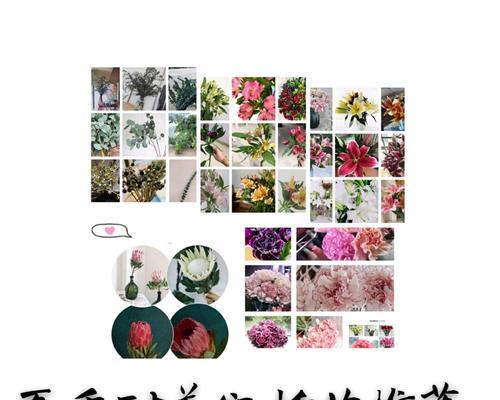 韩系插花玫瑰花养护技巧有哪些？