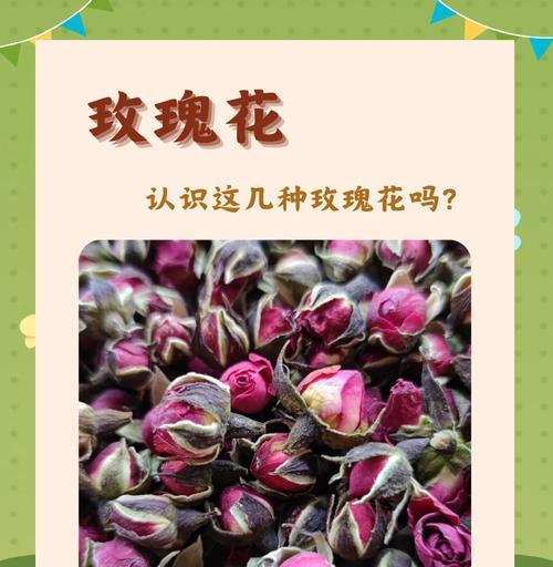 哪种玫瑰花品种最值得购买？购买玫瑰花品种时应注意什么？