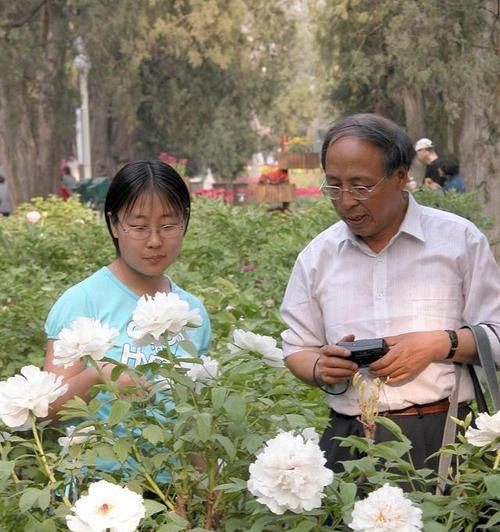种植牡丹花在家园有哪些好处？