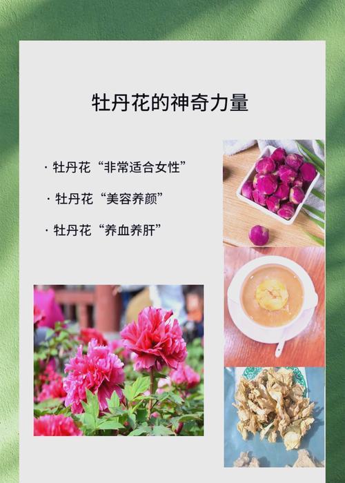 种植牡丹花在家园有哪些好处？