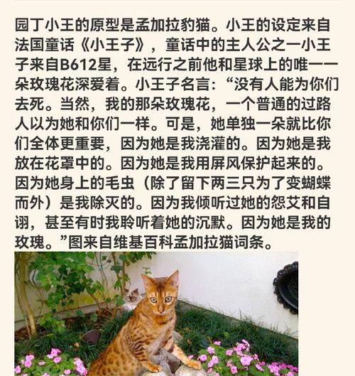 小王如何开始种植玫瑰花？