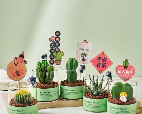小盆栽仙人球的种植技巧是什么？